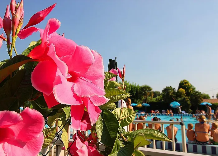 Кемпинг Fossalta *