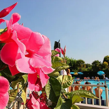 مكان تخييم Fossalta *